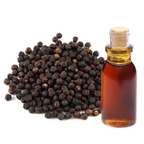 Black Pepper Extract (Piper nigrum) — Herbal Extracts