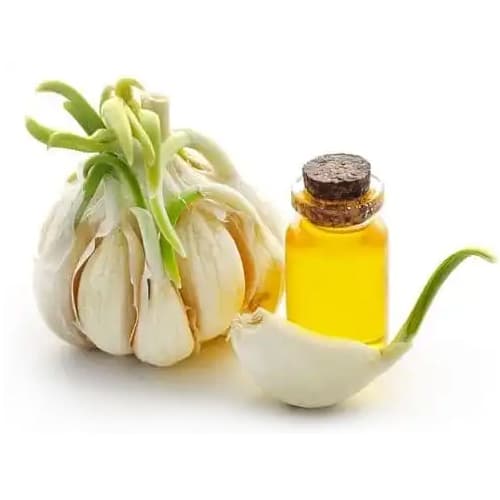 Garlic Oil