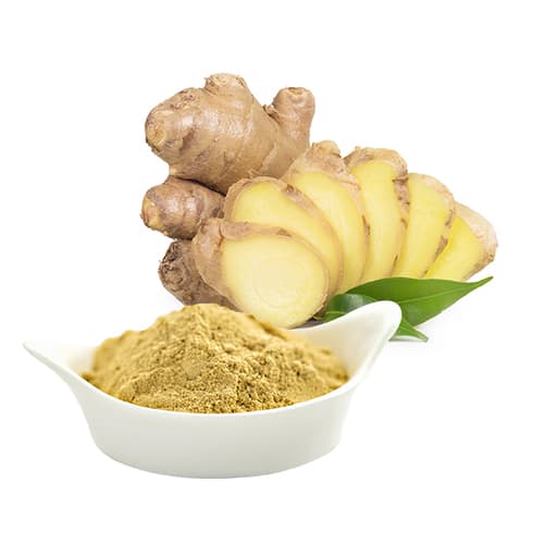 Ginger Extract (Zingiber officinale) — Herbal Extracts
