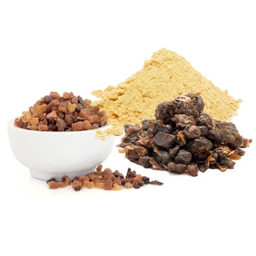 Guggul Extract (Commiphora mukul) — Herbal Extracts