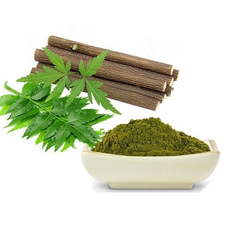 Neem Extract (Azadirachta indica) — Herbal Extracts