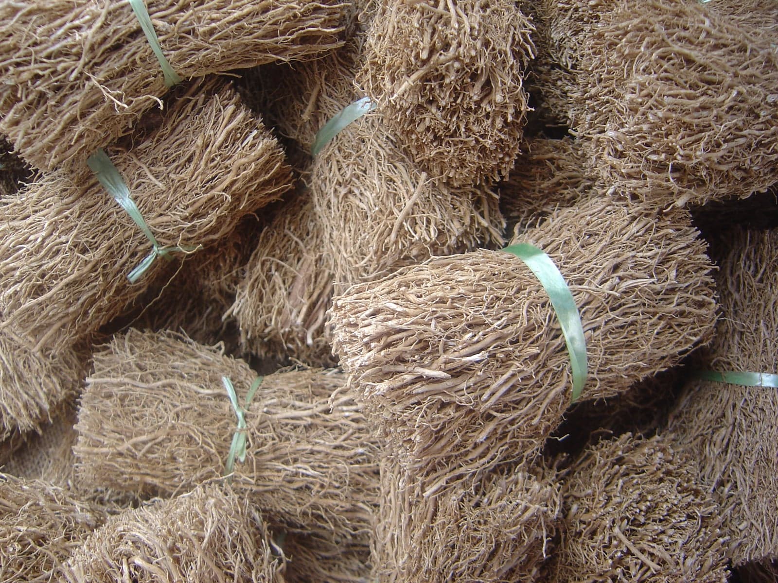 Vetiver Oil