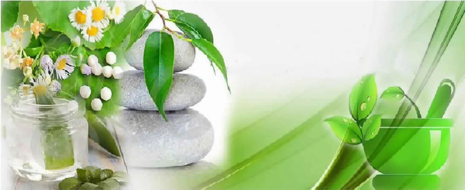 Botanical raw materials and herbal extracts