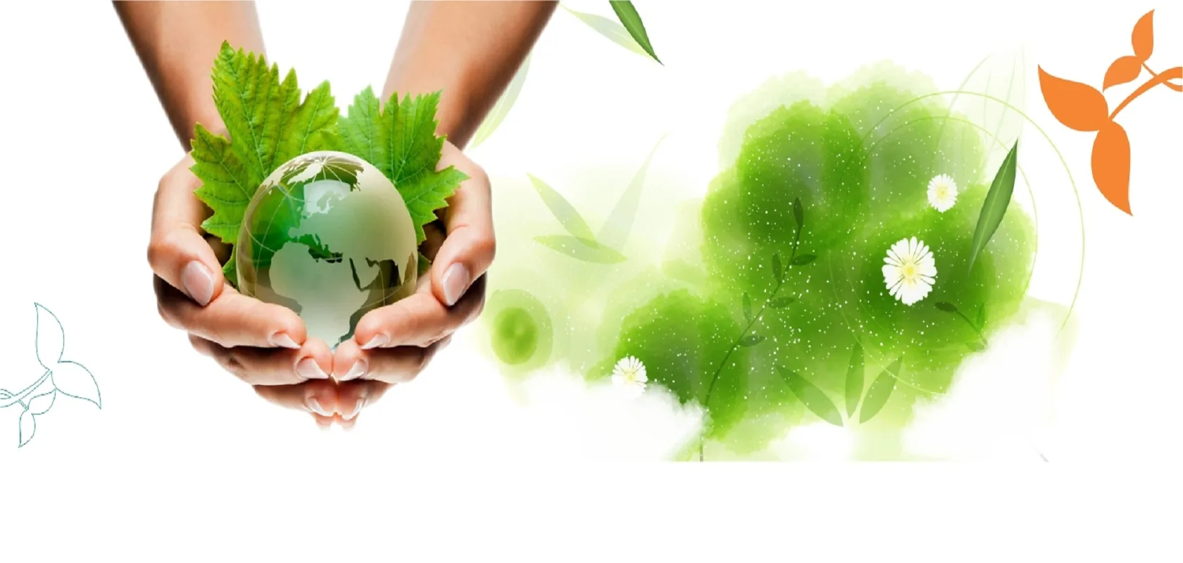 Ayurvedic oils and herbal preparations