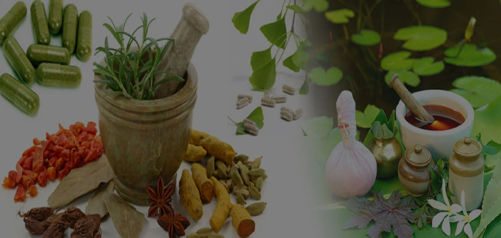 Mortar and pestle with fresh botanicals