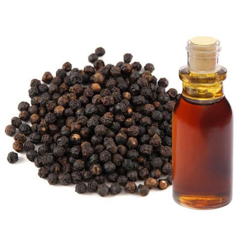 Black Pepper Oil (Piper nigrum) — Essential Oils