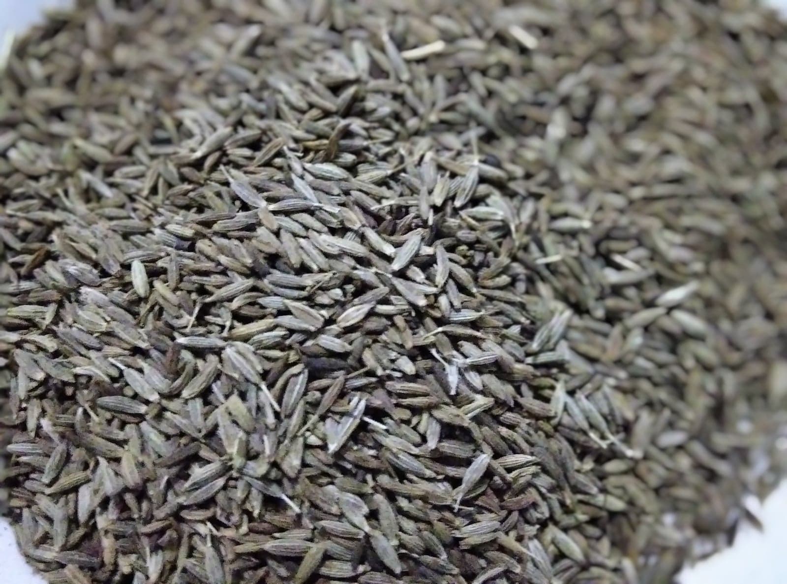 Cumin Oleoresin (Cuminum cyminum) — Oleoresins