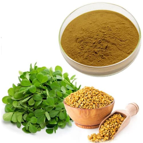 Fenugreek Extract (Trigonella foenumgraecum) — Herbal Extracts