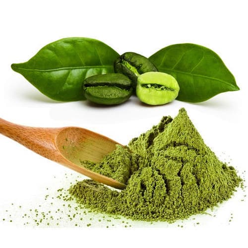 Green Coffee Extract (Coffea robusta) — Herbal Extracts