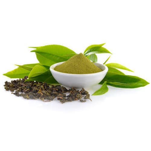 Green Tea Extract (Camellia sinensis) — Herbal Extracts