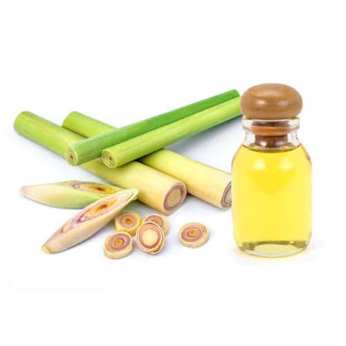 Lemon Grass Oil (Cymbopogon citratus) — Essential Oils