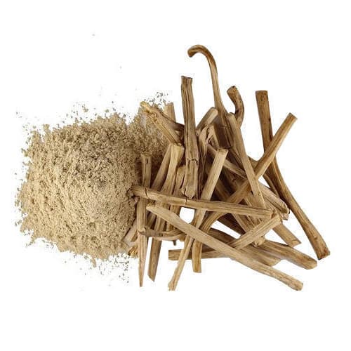 Shatavari Extract (Asparagus racemosus) — Herbal Extracts