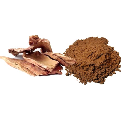 Arjuna Extract (Terminalia arjuna) — Herbal Extracts